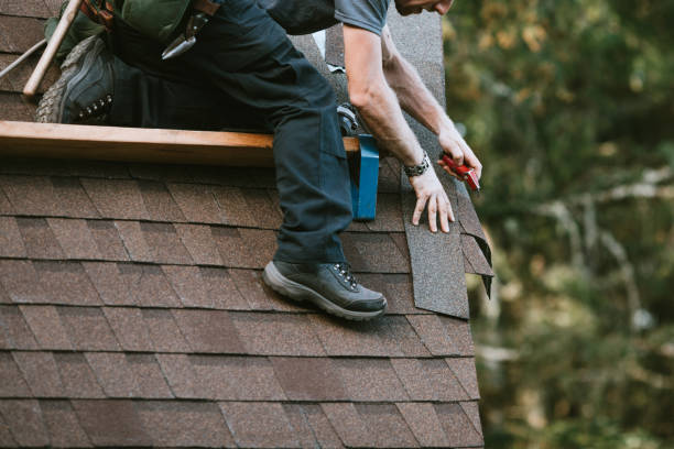 Best Roof Gutter Cleaning  in League City, TX