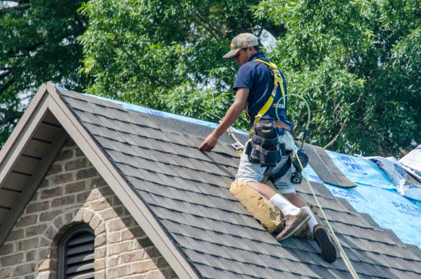 Best Shingle Roofing Installation  in League City, TX